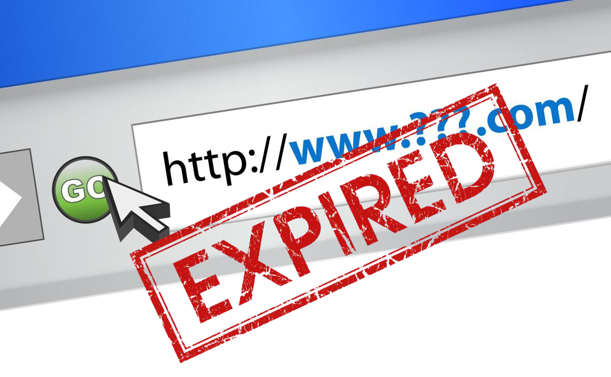 What happens to expired domains?